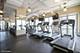 2 E Erie Unit 3606, Chicago, IL 60611