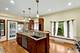 15555 Wolf, Orland Park, IL 60467