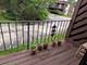 57 Washington Unit 201, Mundelein, IL 60060