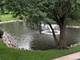1003 Centurion Unit 7, Vernon Hills, IL 60061
