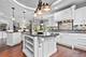 151 Palmer, Vernon Hills, IL 60061