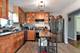 9007 Ridgeland, Oak Lawn, IL 60453