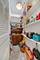 1018 S Mayfield, Chicago, IL 60644