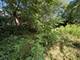 Lot 1 E Madison, Batavia, IL 60510