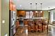 1769 Morse, Des Plaines, IL 60018