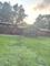 17131 Ozark, Tinley Park, IL 60477
