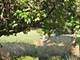 1826 Lucylle, St. Charles, IL 60174