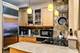 57 E Cedar, Chicago, IL 60611