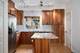 1540 N Greenview Unit D, Chicago, IL 60642