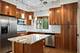1540 N Greenview Unit D, Chicago, IL 60642