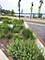 806 June, Lake Zurich, IL 60047