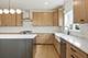 23039 Lakeview Estates, Frankfort, IL 60423