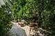 251 Oakland, Highland Park, IL 60035
