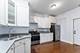 1529 S Homan Unit 2, Chicago, IL 60623