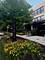 1151 W 14th Unit 106, Chicago, IL 60608