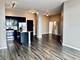 2300 S Michigan Unit 714, Chicago, IL 60616