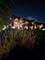 22232 Elise, Frankfort, IL 60423