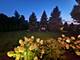 22232 Elise, Frankfort, IL 60423