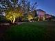 22232 Elise, Frankfort, IL 60423