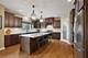 22232 Elise, Frankfort, IL 60423