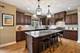 22232 Elise, Frankfort, IL 60423