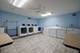 1105 N Mill Unit 219, Naperville, IL 60563