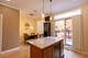 1125 W Monroe, Chicago, IL 60607