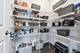 16106 W Sand Lilly, Lockport, IL 60441