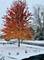 2105 Bent Tree, Geneva, IL 60134