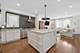 1920 W Potomac, Chicago, IL 60622