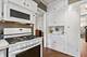 1214 Central Unit 1N, Evanston, IL 60201