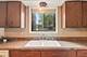 9555 Southwest Unit 1S, Oak Lawn, IL 60453
