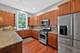 157 Festival, Elgin, IL 60120