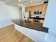 1250 S Michigan Unit 1209, Chicago, IL 60605