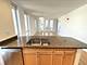 1250 S Michigan Unit 1209, Chicago, IL 60605