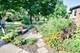 460 Lenox, Oak Park, IL 60302