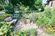 460 Lenox, Oak Park, IL 60302