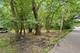 24011 N Valley, Lake Zurich, IL 60047