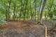 24017 N Valley, Lake Zurich, IL 60047