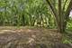 24017 N Valley, Lake Zurich, IL 60047