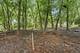 24017 N Valley, Lake Zurich, IL 60047