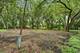 24017 N Valley, Lake Zurich, IL 60047