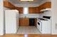1401 N Bosworth Unit 2, Chicago, IL 60642