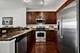 1901 S Calumet Unit 911, Chicago, IL 60616