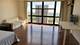 2901 S Michigan Unit 1704, Chicago, IL 60616