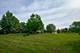 905 Shelly, New Lenox, IL 60451