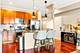 2235 N Lister Unit 102, Chicago, IL 60614
