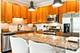 2235 N Lister Unit 102, Chicago, IL 60614