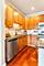 2235 N Lister Unit 102, Chicago, IL 60614