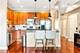 2235 N Lister Unit 102, Chicago, IL 60614